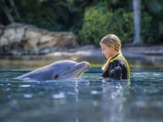 Discovery Cove with Dolphin Swim