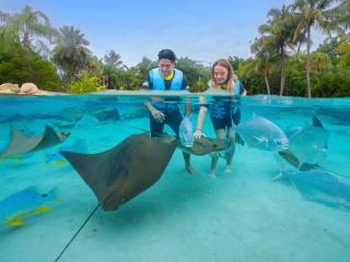 Discovery Cove without Dolphin Swim