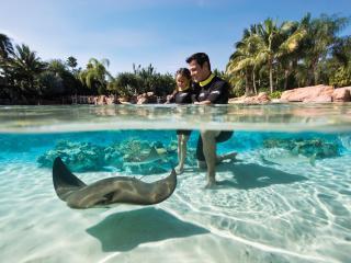 Discovery Cove without Dolphin Swim