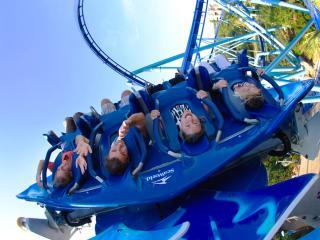SeaWorld Parks Single Visit You Choose Ticket