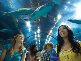 SeaWorld Parks Ultimate Ticket with 3 x All Day Dine