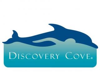Discovery Cove With Dolphin Swim Seaworld Parks Bookings